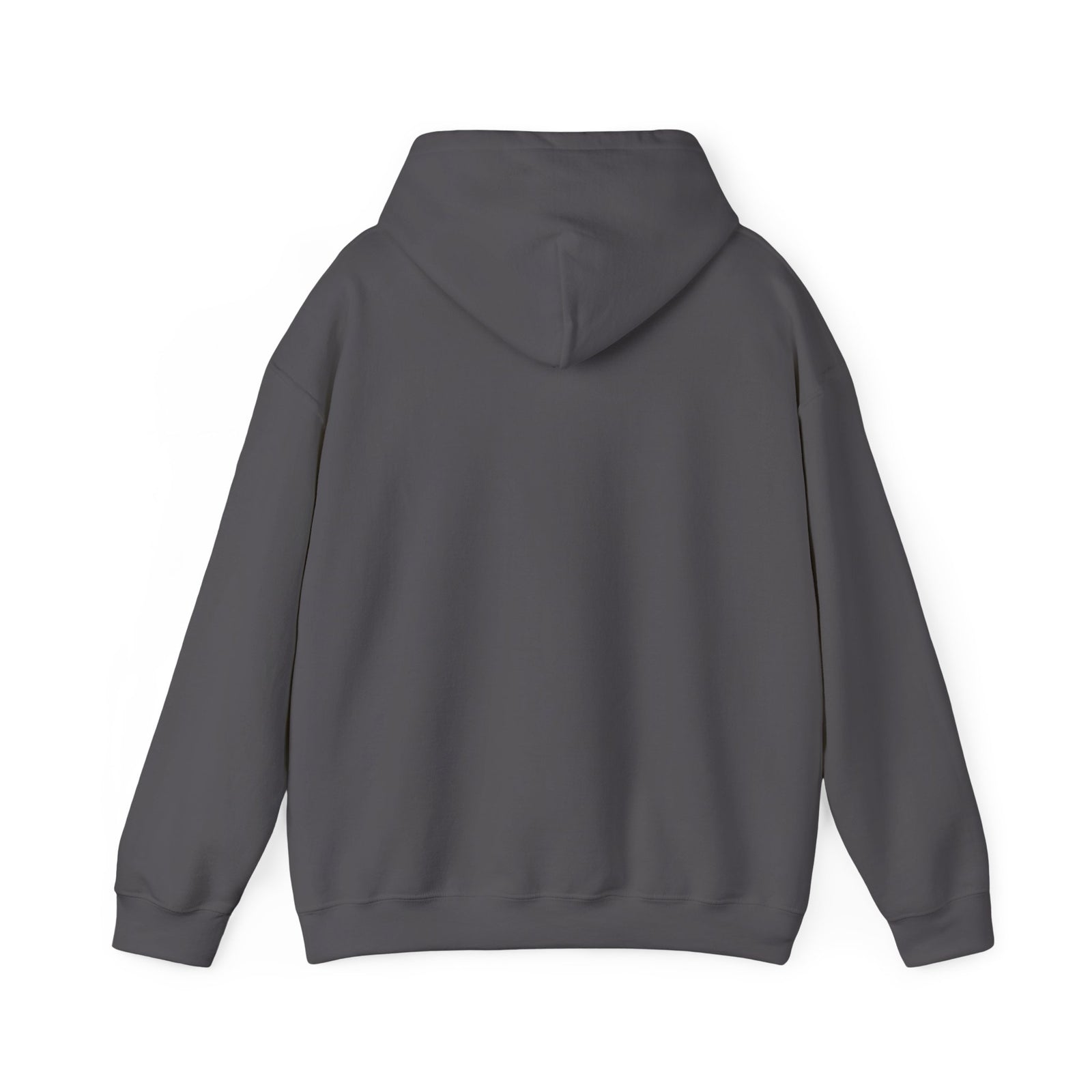 I May Be Wrong Hoodie | Funny Sarcastic Pullover Gift