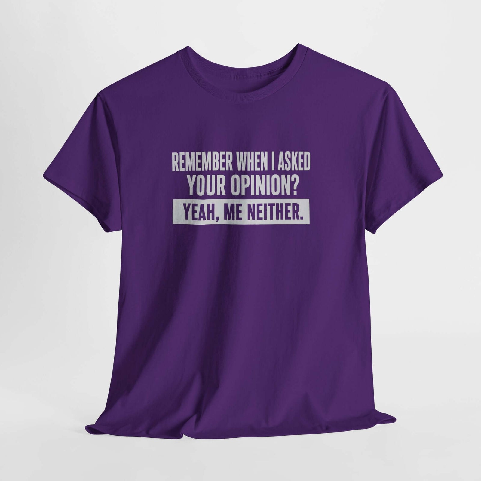 Remember When I Asked Your Opinion T-Shirt | Funny Sarcastic Tee