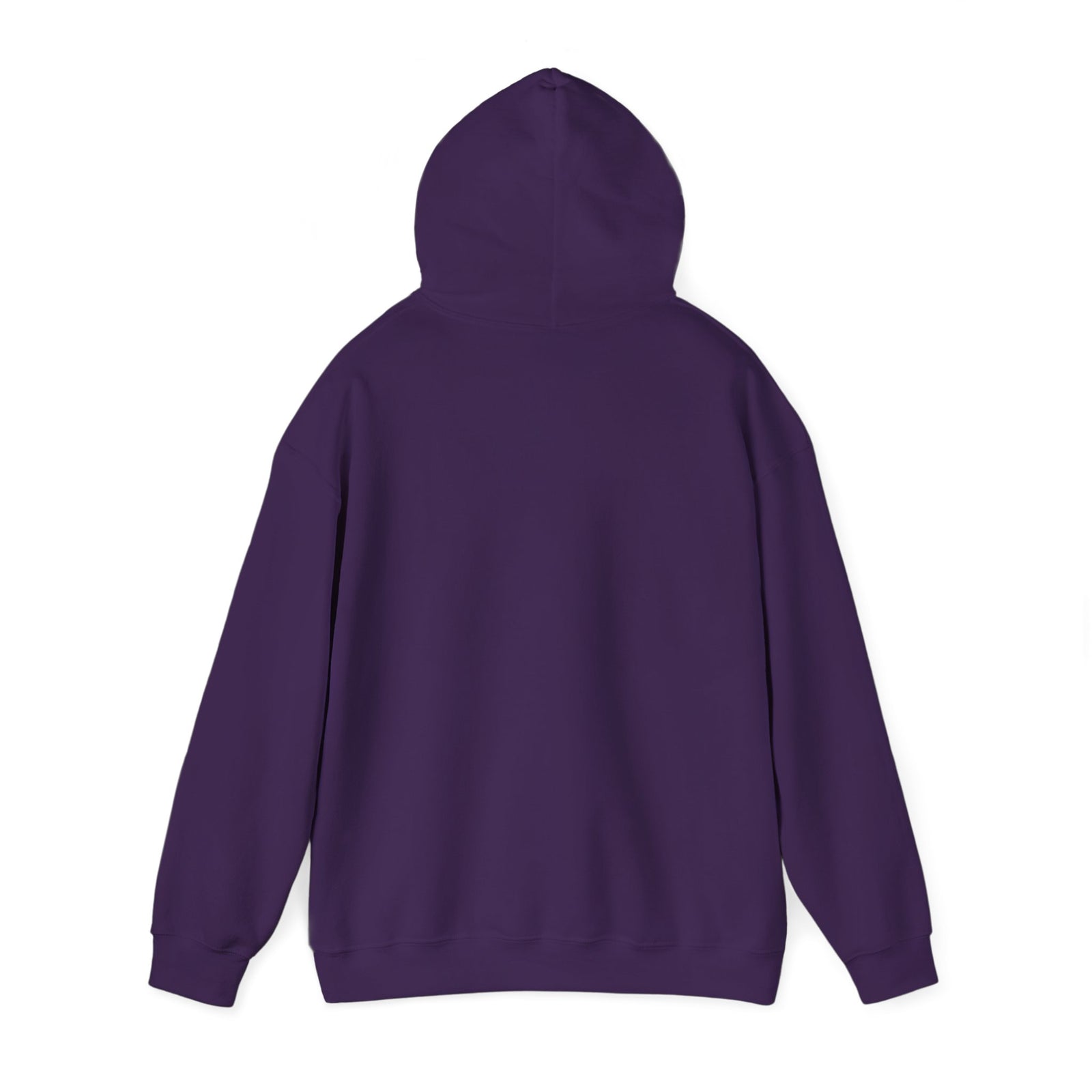 Cranky Mechanic Hoodie | Funny Car Guy Engine Humor