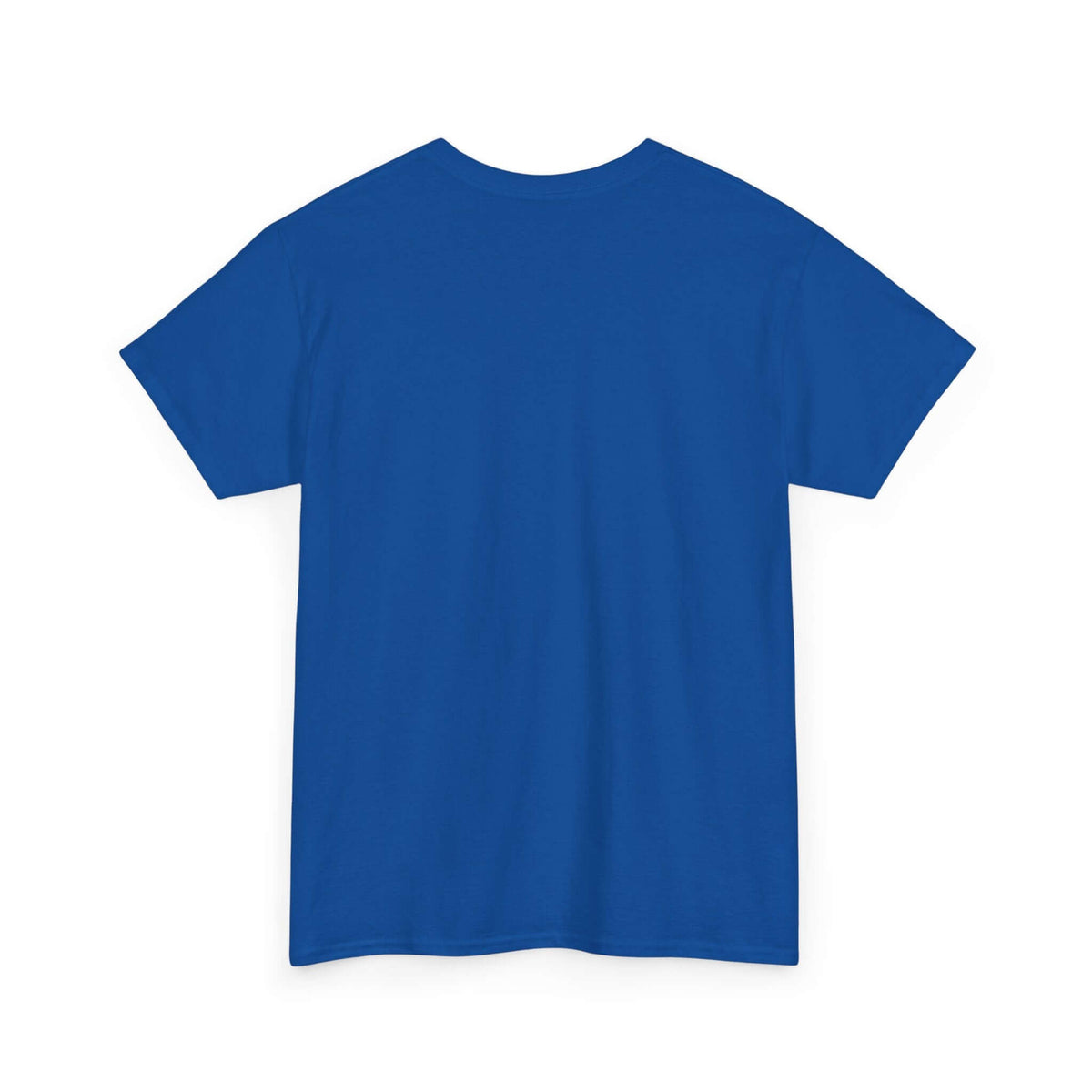 Funny sarcasm t-shirt - witty gift idea for sarcastic men