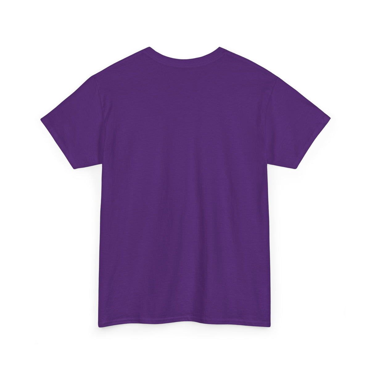 Evolution of a Mechanic Funny T-Shirt | Mechanic Gift