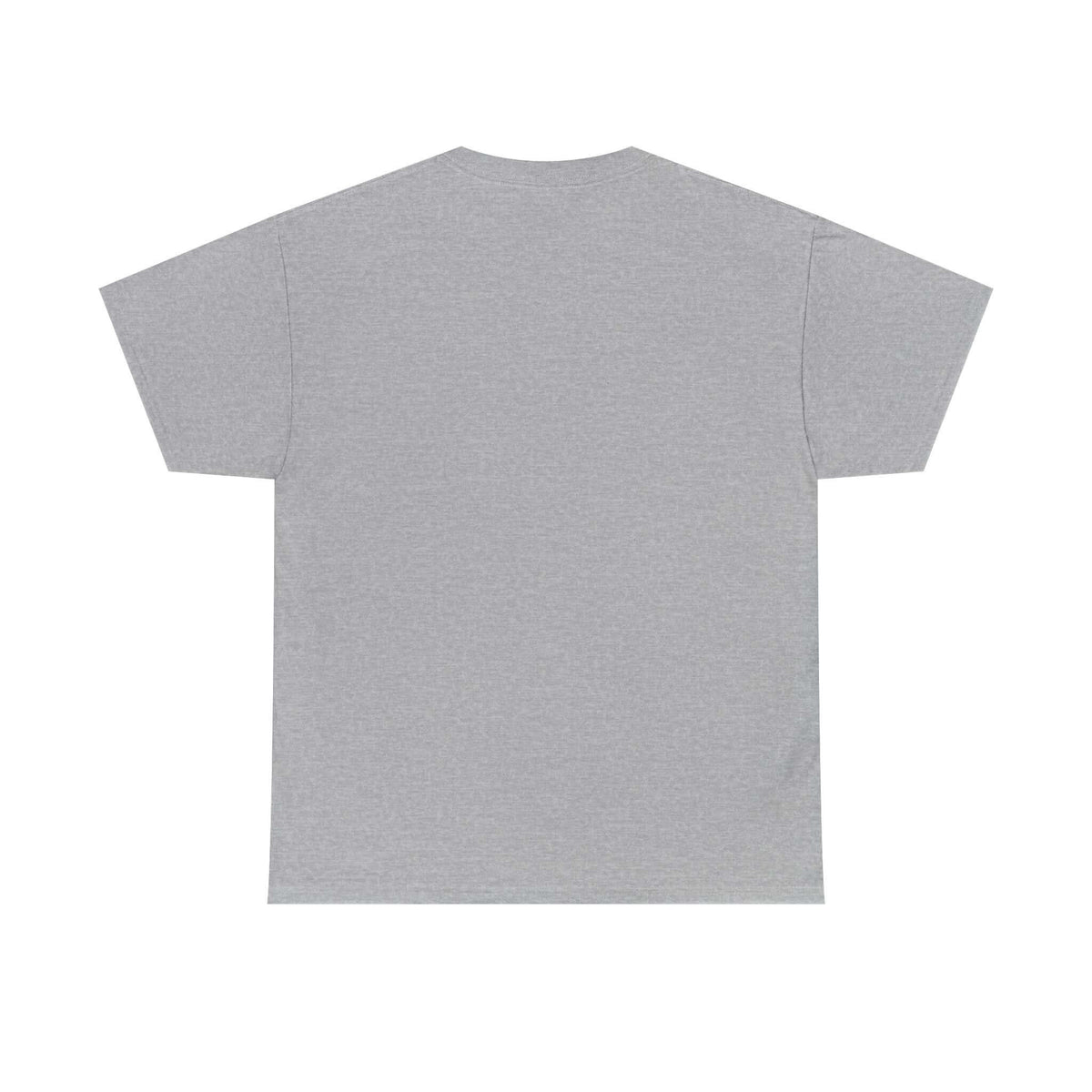 Funny sarcasm t-shirt - witty gift idea for sarcastic men