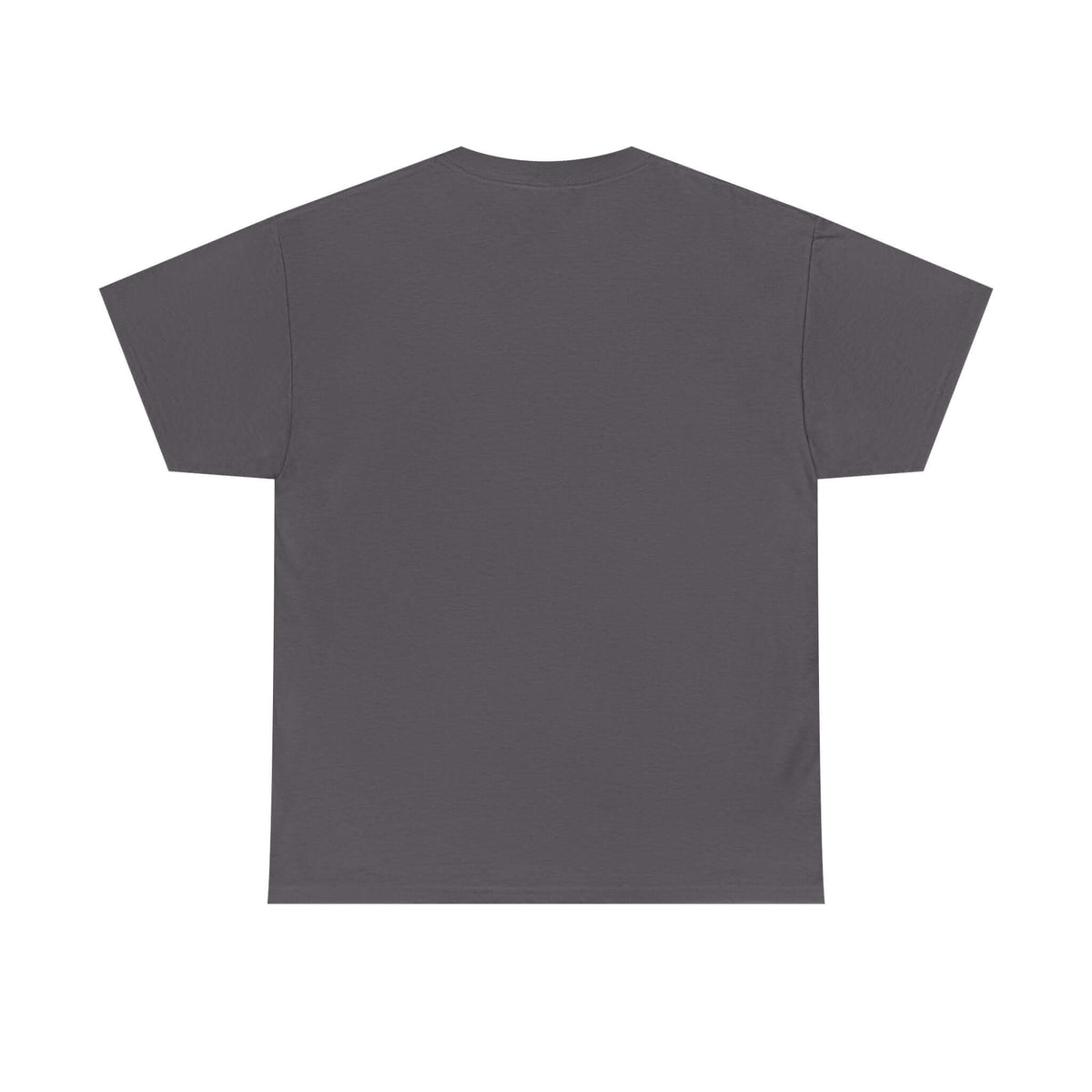 Funny sarcasm t-shirt - witty gift idea for sarcastic men