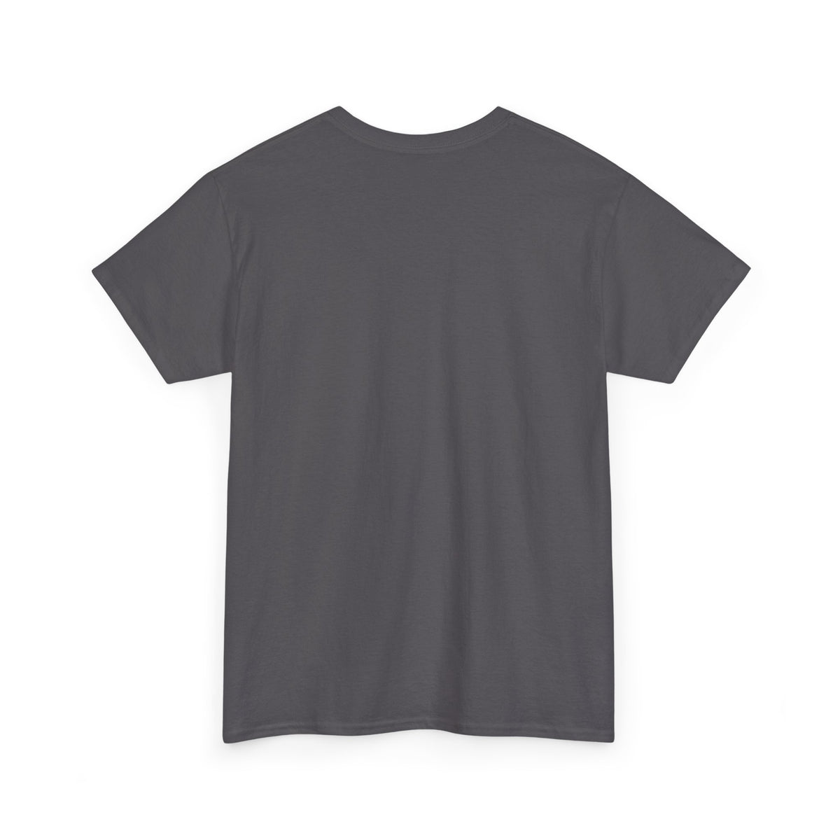 Things I Do In My Spare Time Tesla Owner T-Shirt | EV Car Guy Tee