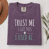 Trust Me I Got This Comfort Colors tee black | Funny programmer shirt | 365CarMods